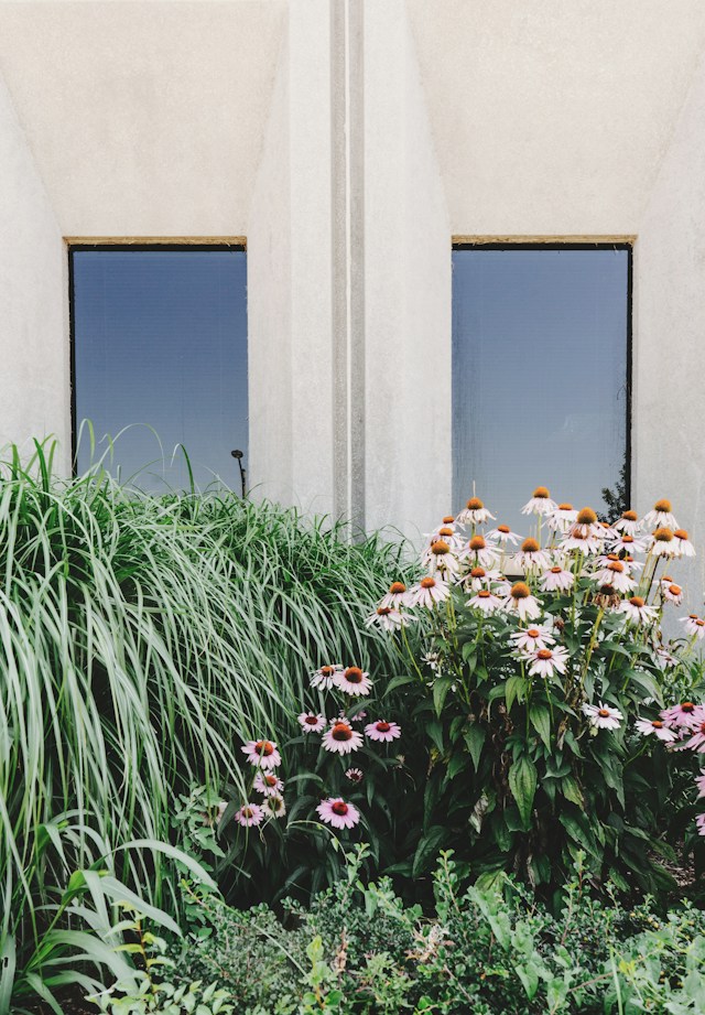 Comment aménager un petit jardin ?