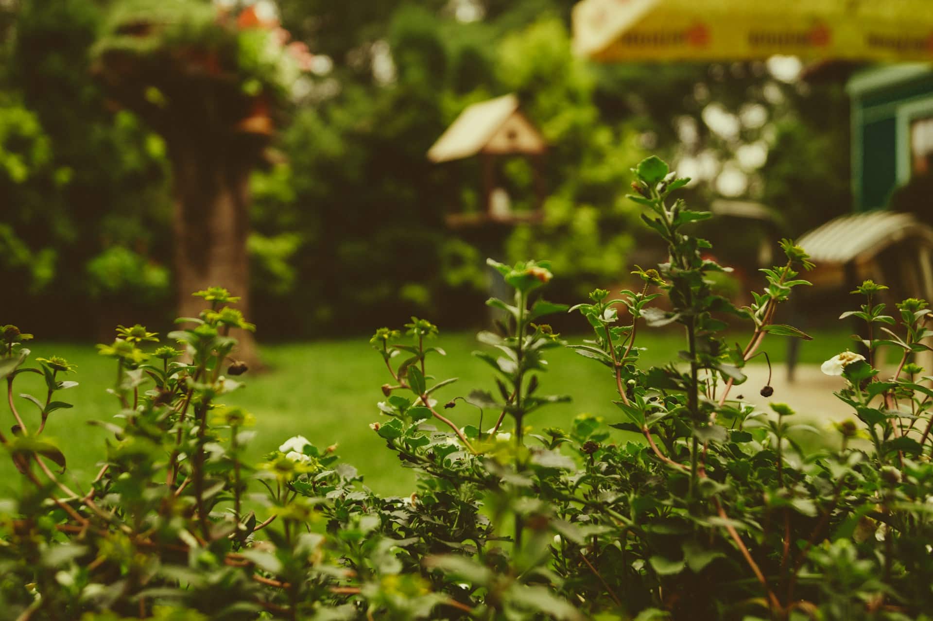 Comment aménager un petit jardin ?